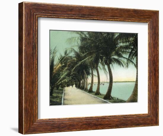 Palm Beach, Florida - Palm Walk Along Lake Worth-Lantern Press-Framed Art Print
