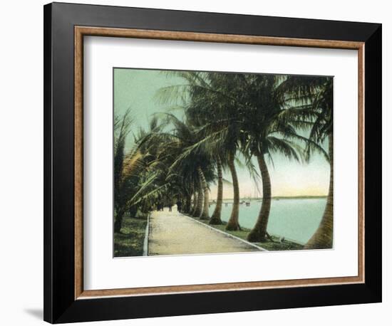 Palm Beach, Florida - Palm Walk Along Lake Worth-Lantern Press-Framed Art Print