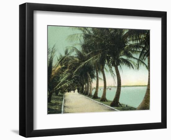 Palm Beach, Florida - Palm Walk Along Lake Worth-Lantern Press-Framed Art Print