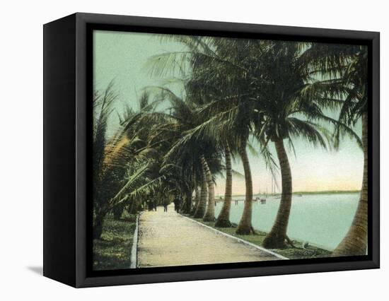 Palm Beach, Florida - Palm Walk Along Lake Worth-Lantern Press-Framed Stretched Canvas