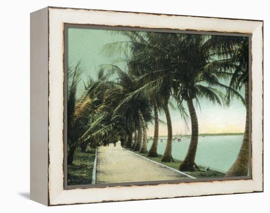 Palm Beach, Florida - Palm Walk Along Lake Worth-Lantern Press-Framed Stretched Canvas