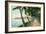 Palm Beach, Florida - View of the Walk Along Lake Worth-Lantern Press-Framed Art Print