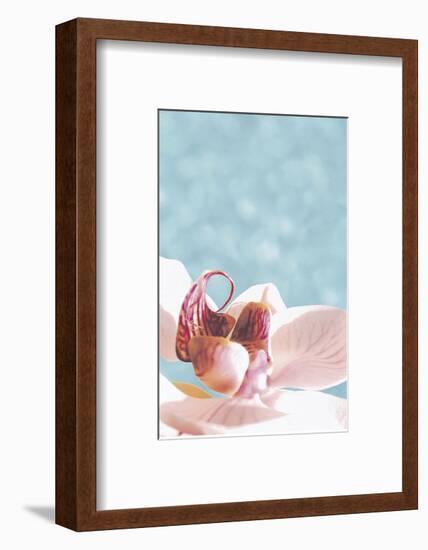 Palm Beach I-Brian Leighton-Framed Art Print