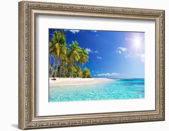 Palm Beach in Tropical Idyllic Paradise Island - Caribbean - Guadalupe-Romolo Tavani-Framed Photographic Print