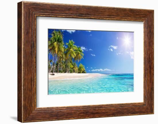 Palm Beach in Tropical Idyllic Paradise Island - Caribbean - Guadalupe-Romolo Tavani-Framed Photographic Print