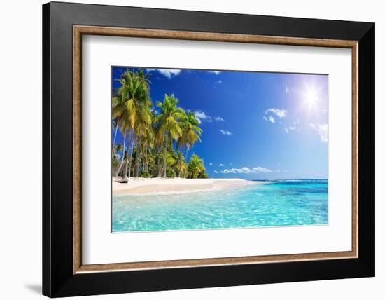 Palm Beach in Tropical Idyllic Paradise Island - Caribbean - Guadalupe-Romolo Tavani-Framed Photographic Print