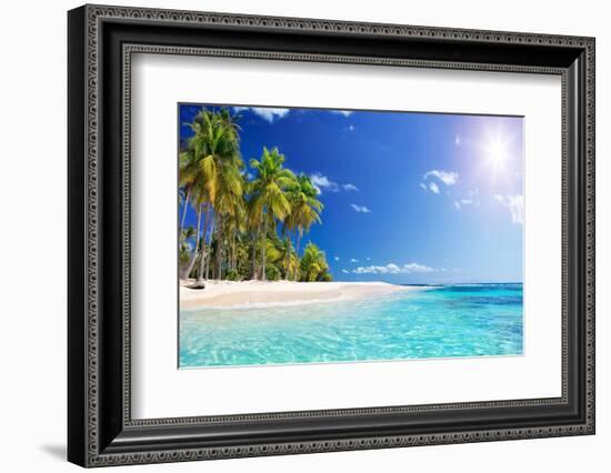 Palm Beach in Tropical Idyllic Paradise Island - Caribbean - Guadalupe-Romolo Tavani-Framed Photographic Print