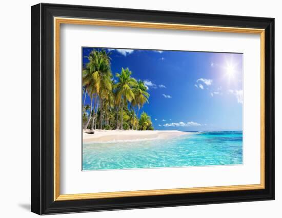 Palm Beach in Tropical Idyllic Paradise Island - Caribbean - Guadalupe-Romolo Tavani-Framed Photographic Print