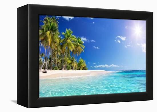 Palm Beach in Tropical Idyllic Paradise Island - Caribbean - Guadalupe-Romolo Tavani-Framed Premier Image Canvas