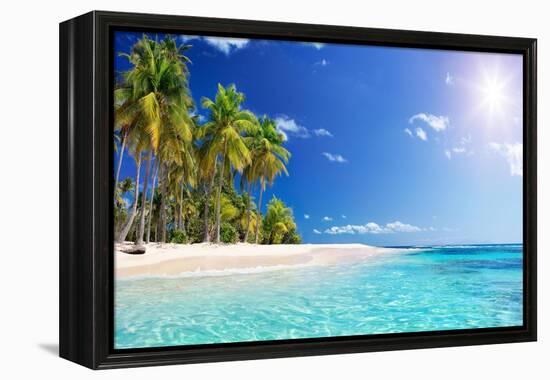 Palm Beach in Tropical Idyllic Paradise Island - Caribbean - Guadalupe-Romolo Tavani-Framed Premier Image Canvas