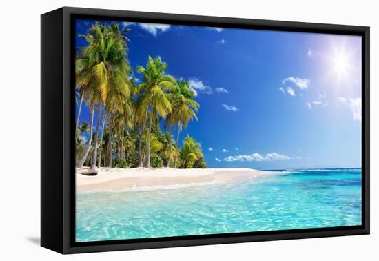 Palm Beach in Tropical Idyllic Paradise Island - Caribbean - Guadalupe-Romolo Tavani-Framed Premier Image Canvas