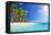 Palm Beach in Tropical Idyllic Paradise Island - Caribbean - Guadalupe-Romolo Tavani-Framed Premier Image Canvas