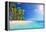 Palm Beach in Tropical Idyllic Paradise Island - Caribbean - Guadalupe-Romolo Tavani-Framed Premier Image Canvas