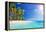 Palm Beach in Tropical Idyllic Paradise Island - Caribbean - Guadalupe-Romolo Tavani-Framed Premier Image Canvas