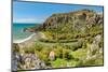 Palm beach of Preveli, Rethymno, Crete, Greek Islands, Greece, Europe-Markus Lange-Mounted Photographic Print