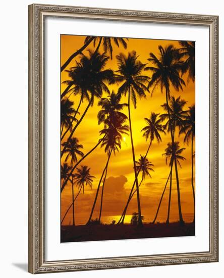 Palm Beach, Sundown, Back Light-Thonig-Framed Photographic Print