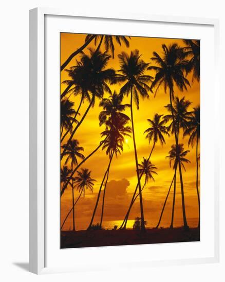 Palm Beach, Sundown, Back Light-Thonig-Framed Photographic Print