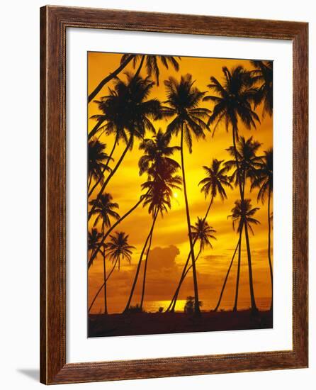 Palm Beach, Sundown, Back Light-Thonig-Framed Photographic Print