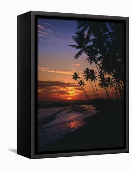 Palm Beach, Sundown, Back Light-Thonig-Framed Premier Image Canvas