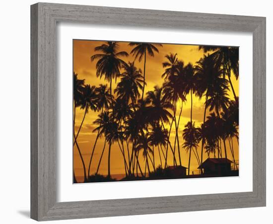 Palm Beach, Sundown-Thonig-Framed Photographic Print