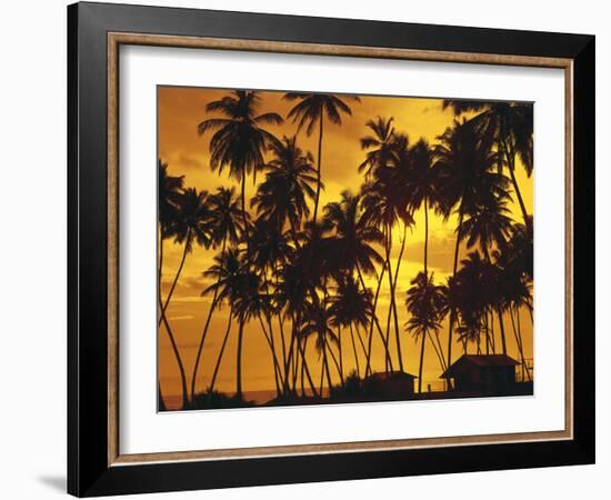 Palm Beach, Sundown-Thonig-Framed Photographic Print