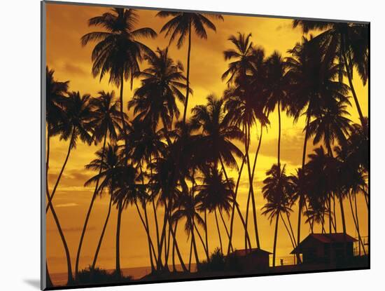 Palm Beach, Sundown-Thonig-Mounted Photographic Print