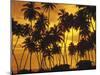 Palm Beach, Sundown-Thonig-Mounted Photographic Print
