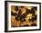 Palm Beach, Sundown-Thonig-Framed Photographic Print