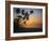 Palm Beach, Sunset-Thonig-Framed Photographic Print