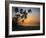 Palm Beach, Sunset-Thonig-Framed Photographic Print