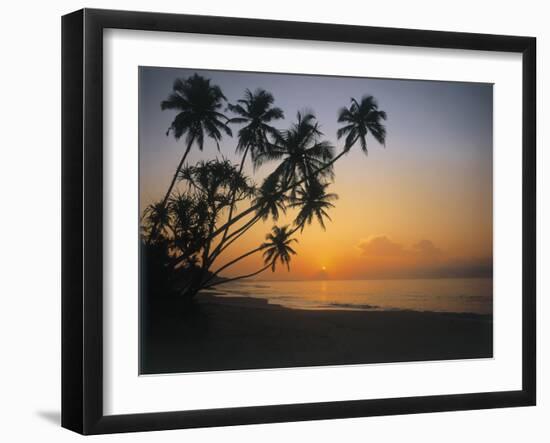 Palm Beach, Sunset-Thonig-Framed Photographic Print