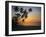 Palm Beach, Sunset-Thonig-Framed Photographic Print