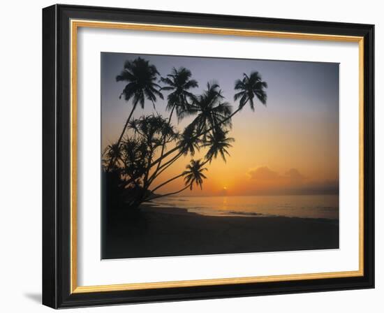 Palm Beach, Sunset-Thonig-Framed Photographic Print