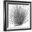 Palm Black and White III-Mia Jensen-Framed Art Print