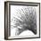 Palm Black and White IV-Mia Jensen-Framed Art Print