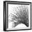 Palm Black and White IV-Mia Jensen-Framed Art Print