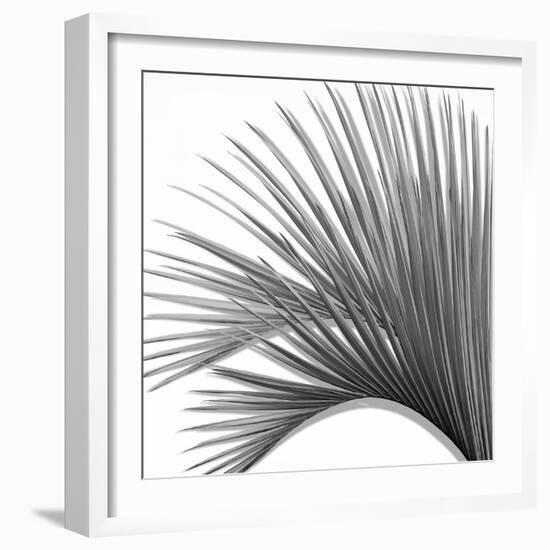 Palm Black and White IV-Mia Jensen-Framed Art Print