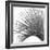 Palm Black and White IV-Mia Jensen-Framed Art Print