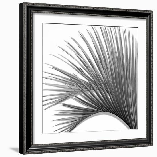 Palm Black and White IV-Mia Jensen-Framed Art Print