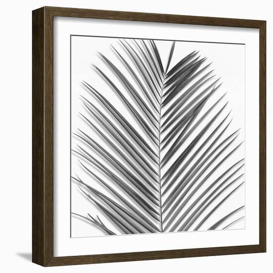 Palm Black and White V-Mia Jensen-Framed Art Print