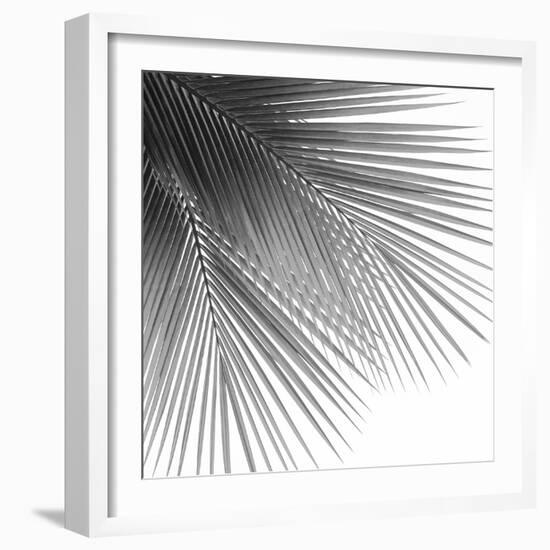 Palm Black and White VI-Mia Jensen-Framed Art Print
