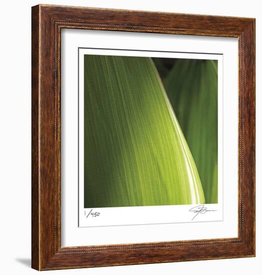 Palm Blades-Ken Bremer-Framed Limited Edition