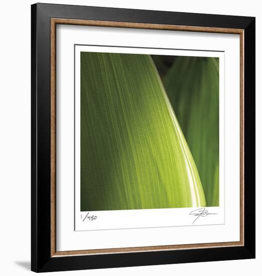 Palm Blades-Ken Bremer-Framed Limited Edition