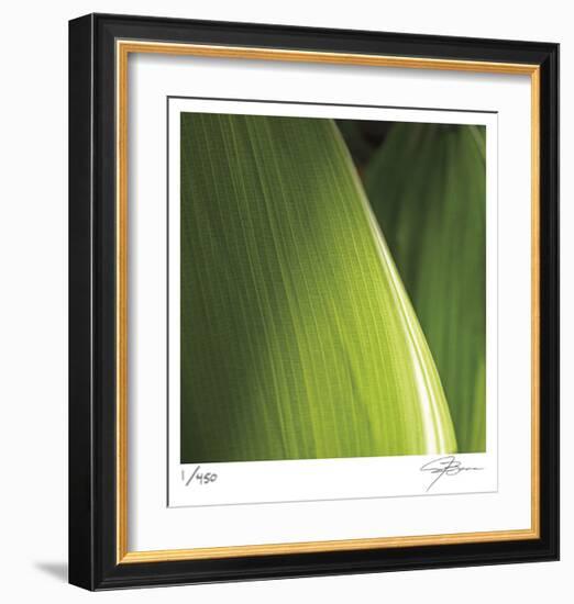 Palm Blades-Ken Bremer-Framed Limited Edition