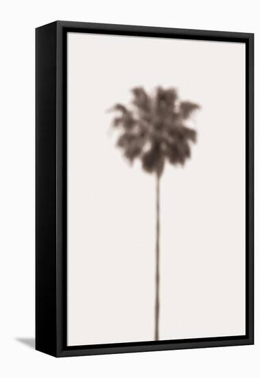Palm Blury-Pictufy Studio III-Framed Premier Image Canvas