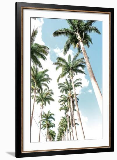 Palm Boulevard-Mike Toy-Framed Giclee Print