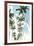 Palm Boulevard-Mike Toy-Framed Giclee Print