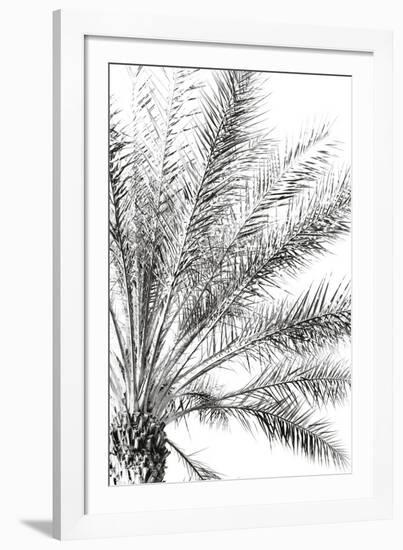 Palm Breeze Noir-Irene Suchocki-Framed Giclee Print