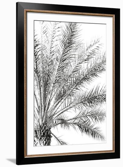 Palm Breeze Noir-Irene Suchocki-Framed Giclee Print