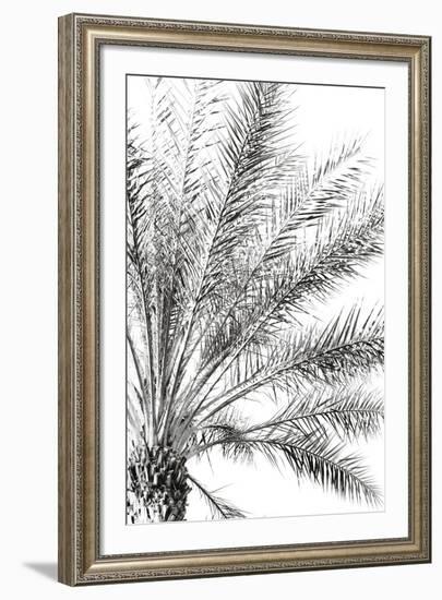 Palm Breeze Noir-Irene Suchocki-Framed Giclee Print